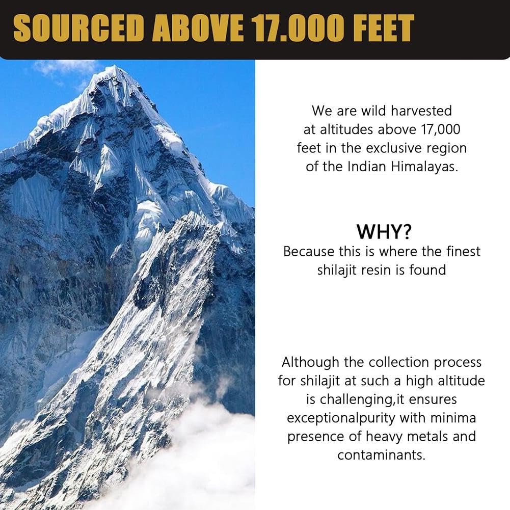 WinaBio – Résine pure de Shilajit de l’Altaï (30 g) – Source naturelle de 80 oligo-éléments des montagnes de l’Altaï